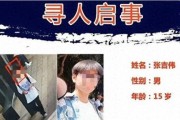 国产高清清爽推理片有哪些,智慧与美感的完美融合