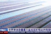 国外精品成品入入入口苹果,品味非凡的入口之选